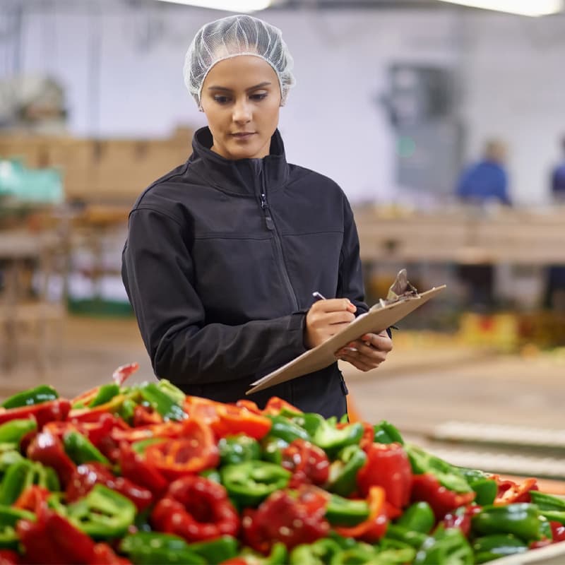 Shot of a focused young factory working doing quality control in a vegetable processing plant.