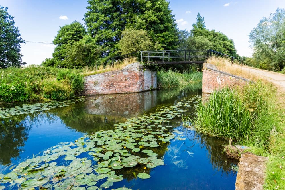 Reed Recruitment Agency Sutton