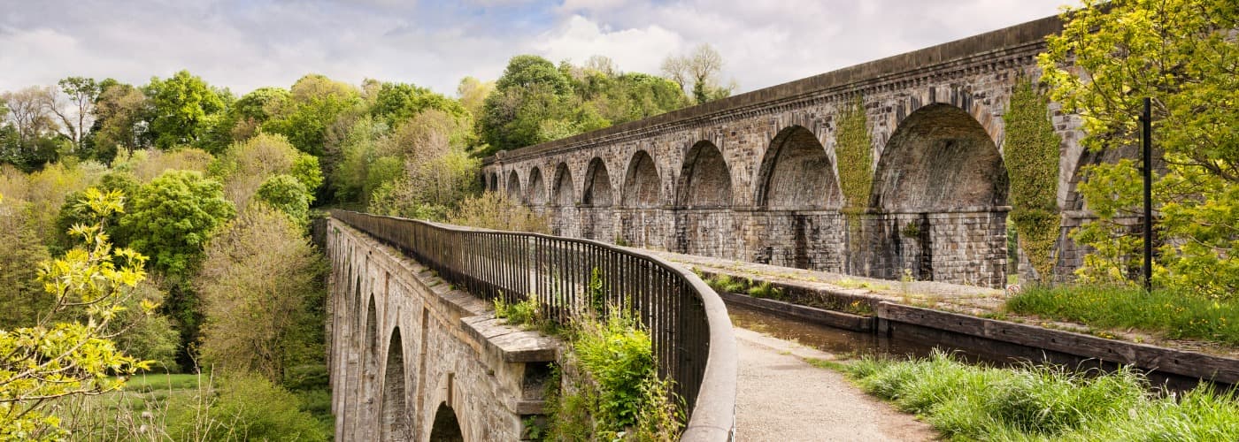 Reed Recruitment Agency Wrexham