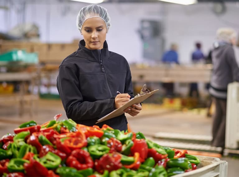 Shot of a focused young factory working doing quality control in a vegetable processing plant.
